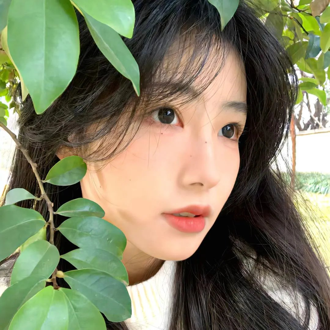 南方与北方