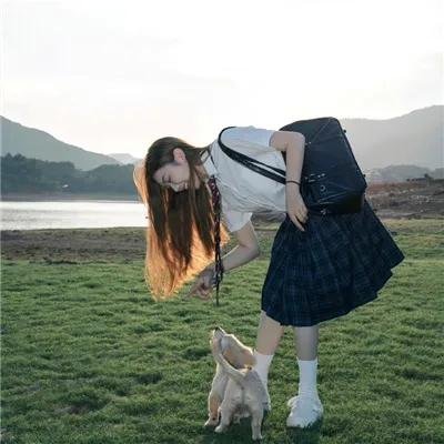 日心说